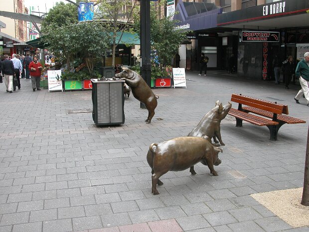 8 Adelaide