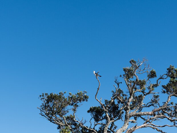5 Coromandel Peninsula