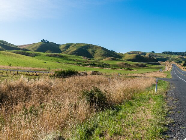 8 Rotorua til Napier