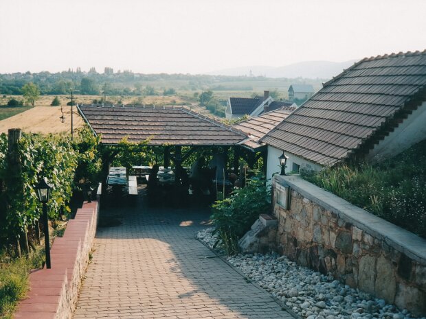 2003
